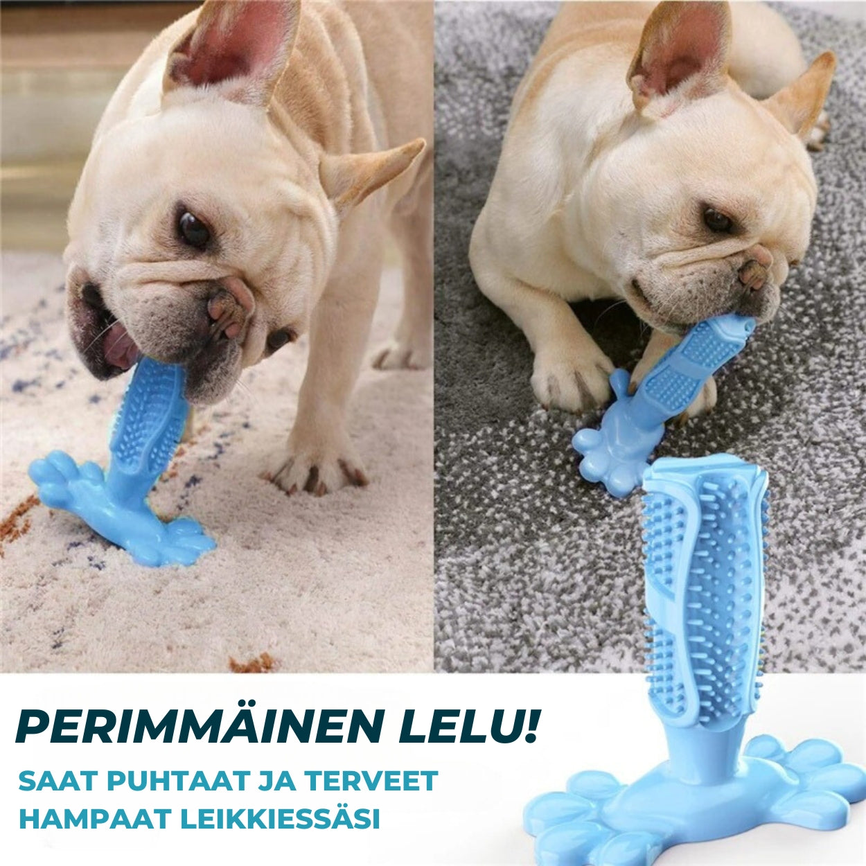 Wuffy™ Prochew - Terveet Hampaat ilman Harjausta