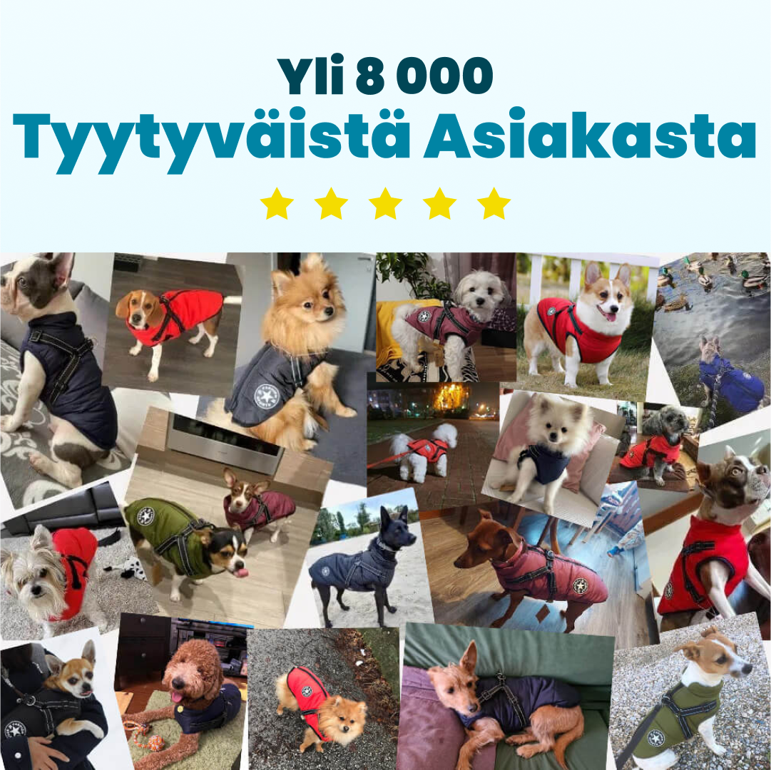 Wuffy™ 3 in 1 Takki Valjaiden Kanssa